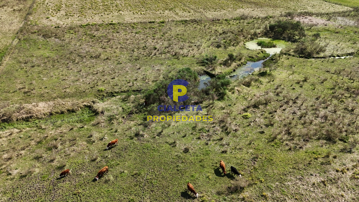 Chacra ID.527 - 3 hectáreas en Migues con aguada y linda vista