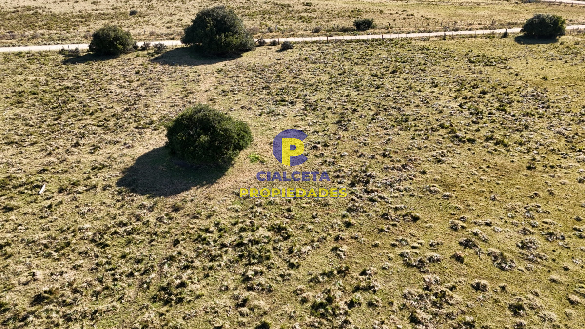 Chacra ID.484 - Chacra de 3 hectáreas en Pueblo Edén
