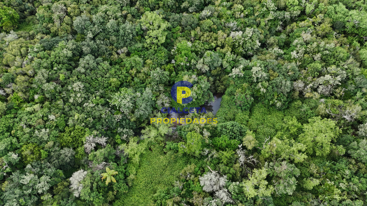 Chacra ID.561 - 5 hectáreas con monte y arroyo José Ignacio