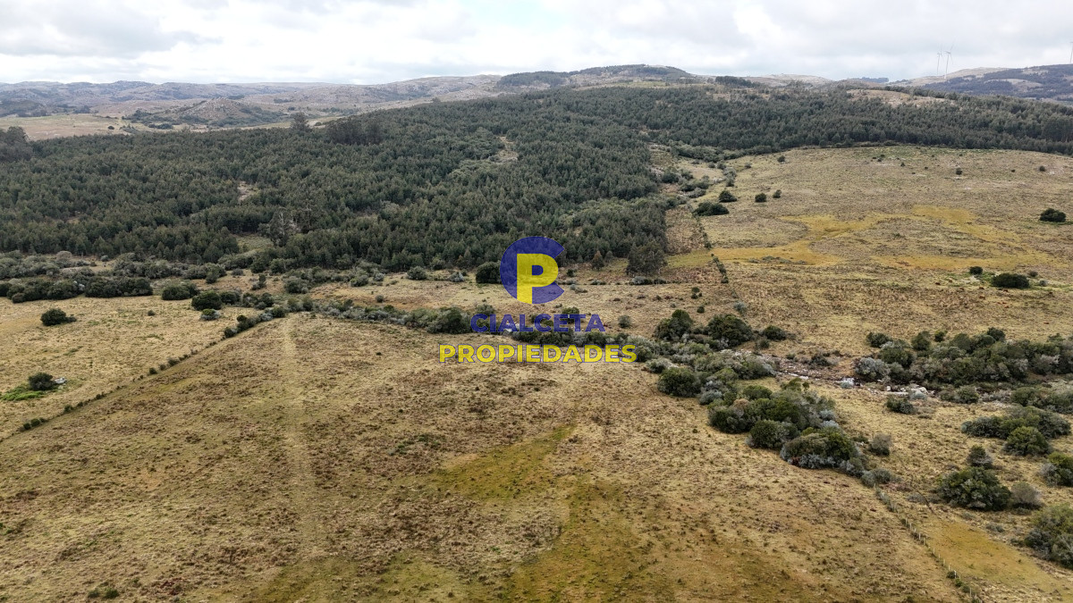 Chacra ID.479 - 14 hectáreas y media con población y arroyito en el fondo