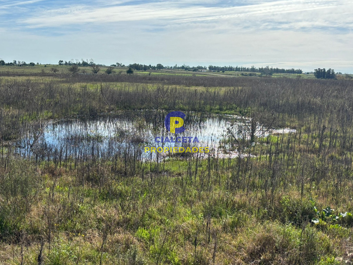 Chacra ID.432 - 3 hectáreas en Canelones, entrega 20 mil y saldo a dos años