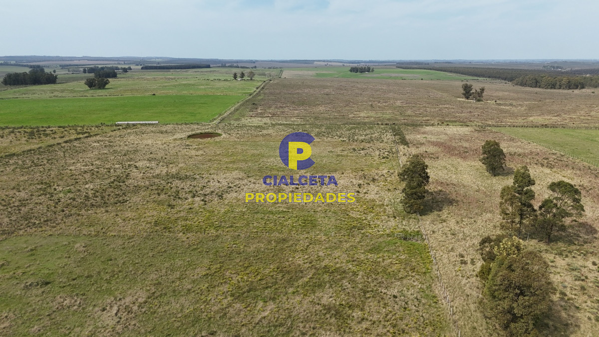 Chacra ID.529 - 3 hectáreas en Noya, departamento de Canelones
