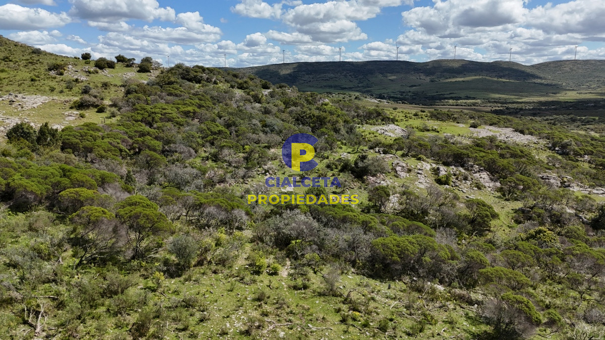 Chacra ID.535 - 3 hectáreas a 25 km de San Carlos, se financian