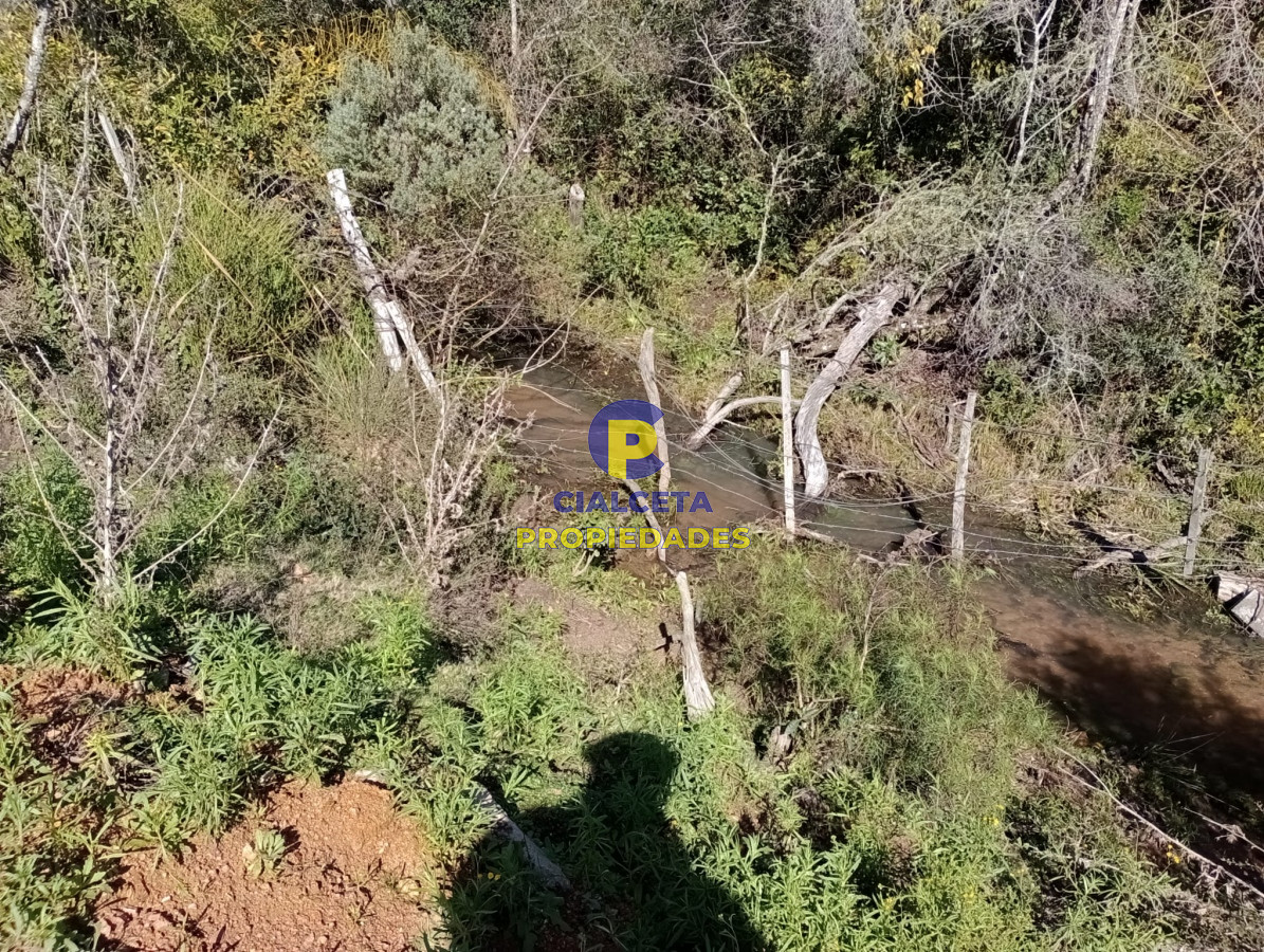 Chacra ID.292 - 5 hectáreas con monte y cañada
