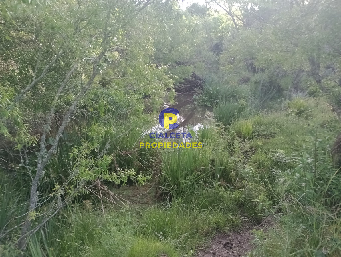 Chacra ID.389 - 3 hectáreas con casa a reparar en Soca
