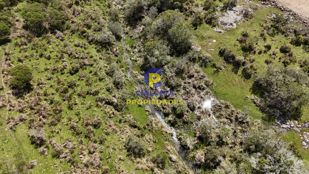 Chacra ID.535 - 3 hectáreas a 25 km de San Carlos, se financian