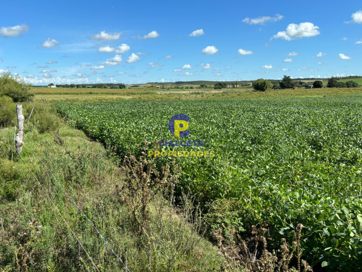 Chacra ID.406 - 14 hectáreas en Canelones