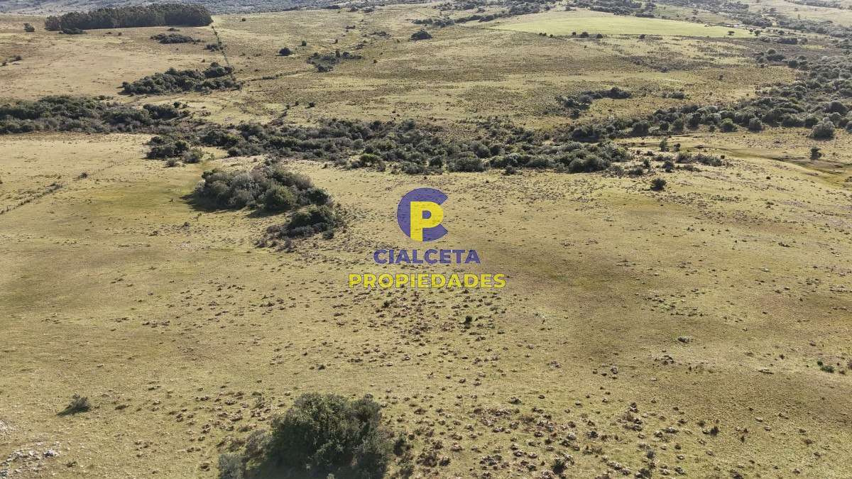 Chacra ID.485 - 7 hectáreas con cañada a 20 km de San Carlos