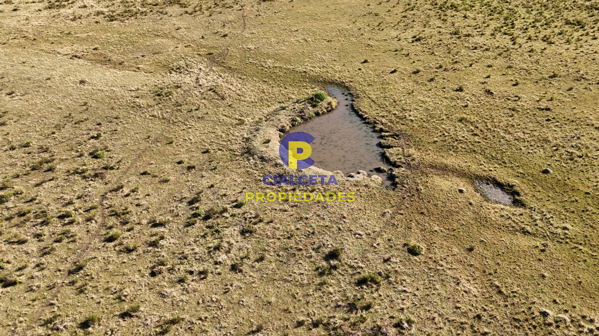 Chacra ID.480 - 4 hectáreas sobre camino a 6 km de Pueblo Edén