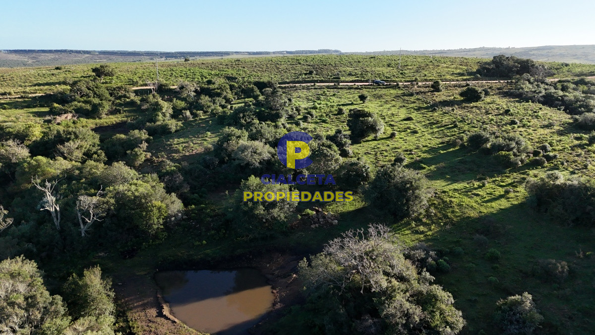 Chacra ID.456 - 4  hectáreas con monte nativo en Maldonado