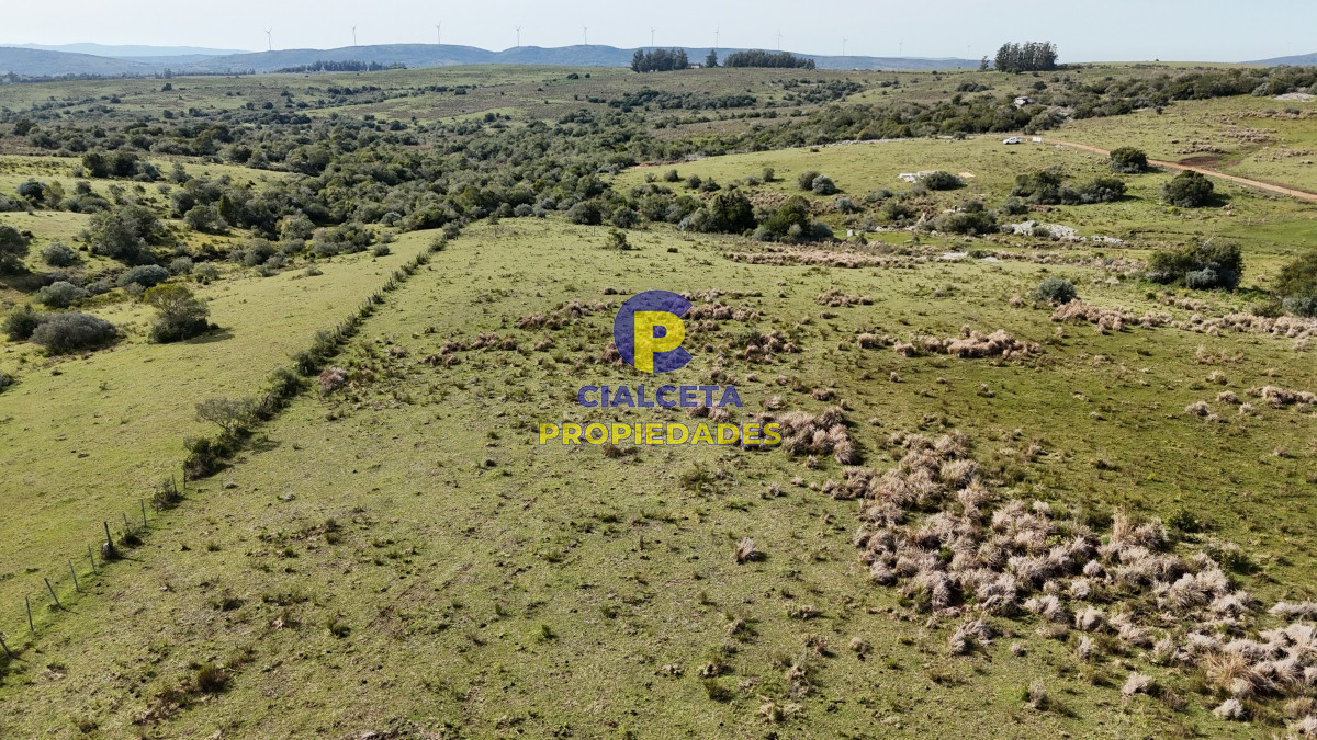 Chacra ID.519 - chacra de 3 hectáreas en maldonado, entrega de 14.600 y cuotas
