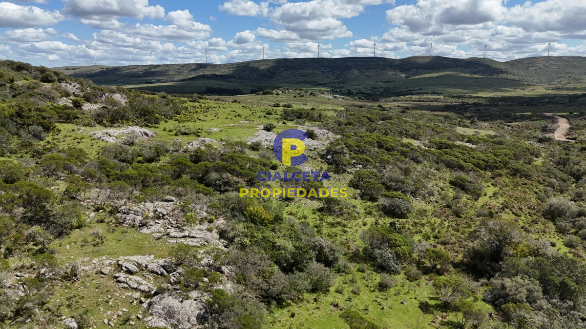 Chacra ID.535 - 3 hectáreas a 25 km de San Carlos, se financian