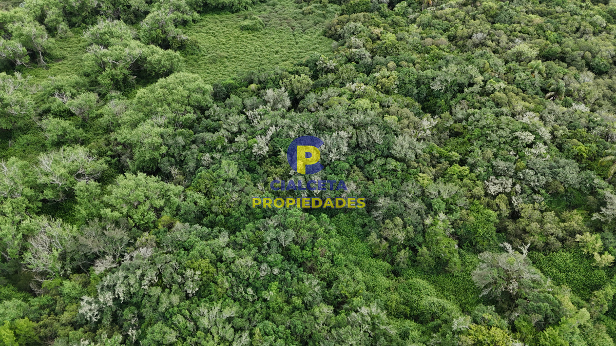 Chacra ID.560 - 4 hectáreas con 6.600 metros con monte y arroyo
