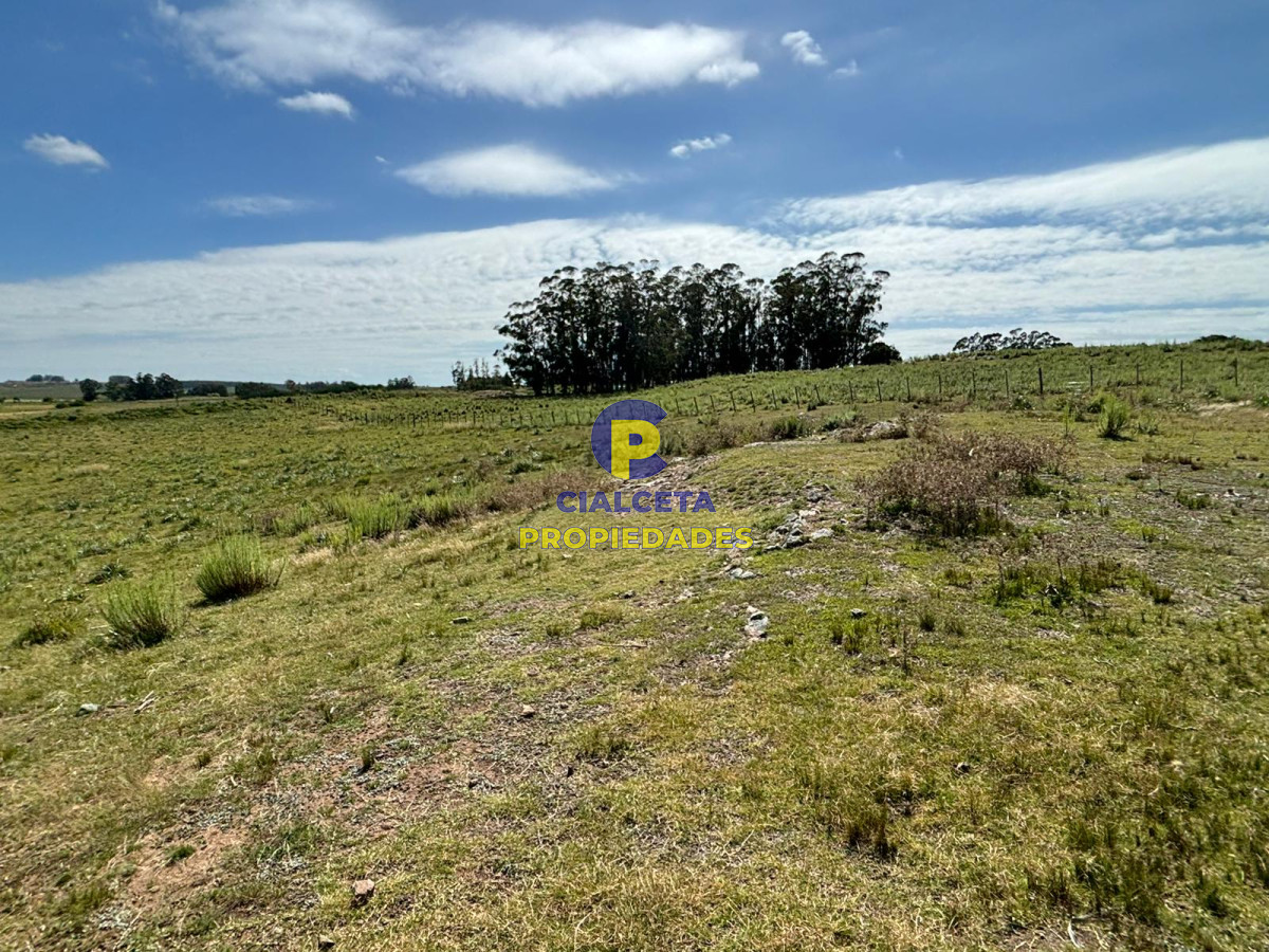 Chacra ID.396 - 3 hectáreas y media en Migues, se financia !!!!, oportunidad