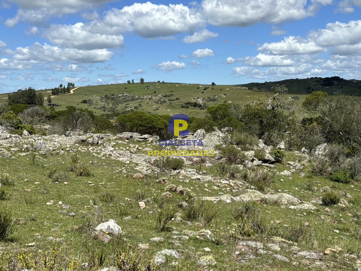 Chacra ID.536 - Chacras de 3 hectáreas financiadas, con luz en frente