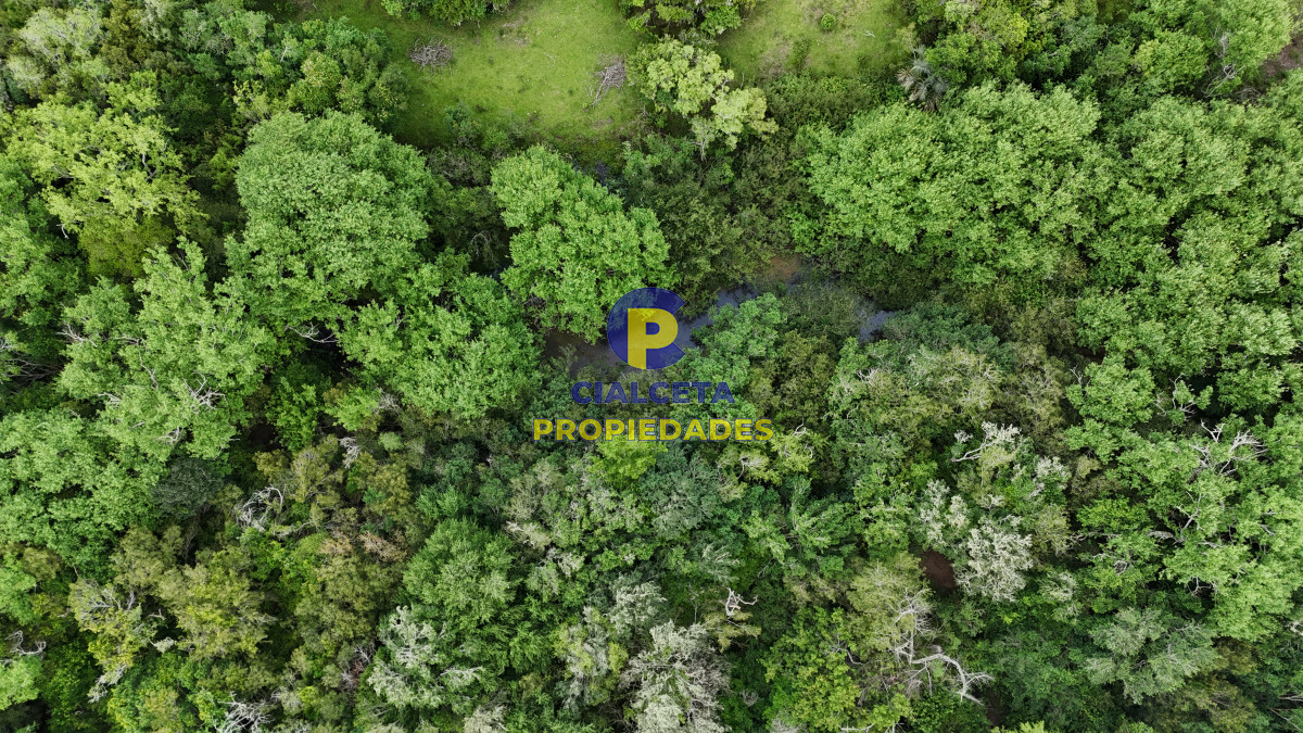 Chacra ID.561 - 5 hectáreas con monte y arroyo José Ignacio