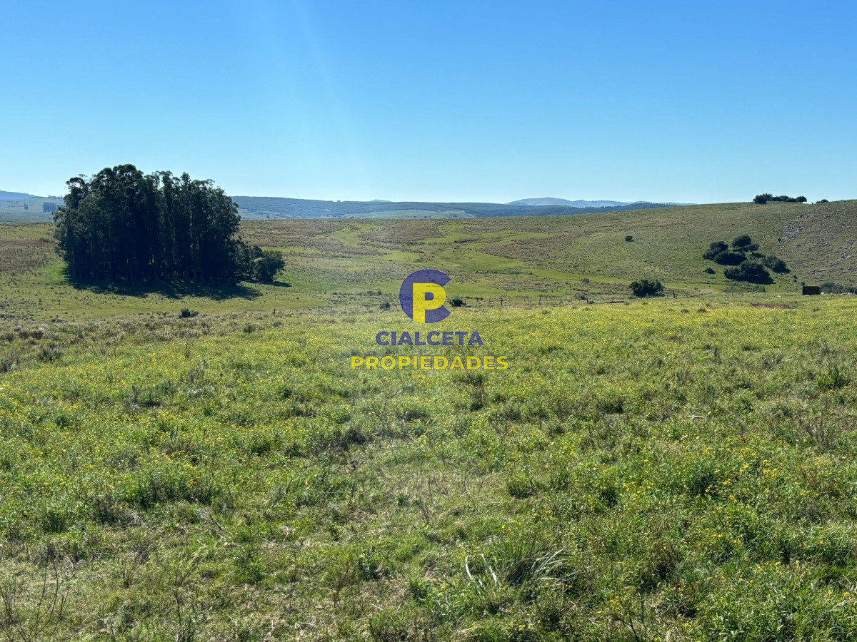 Chacra ID.422 - 5 hectáreas en Lavalleja, entrega 18.000 dólares y saldo financiado