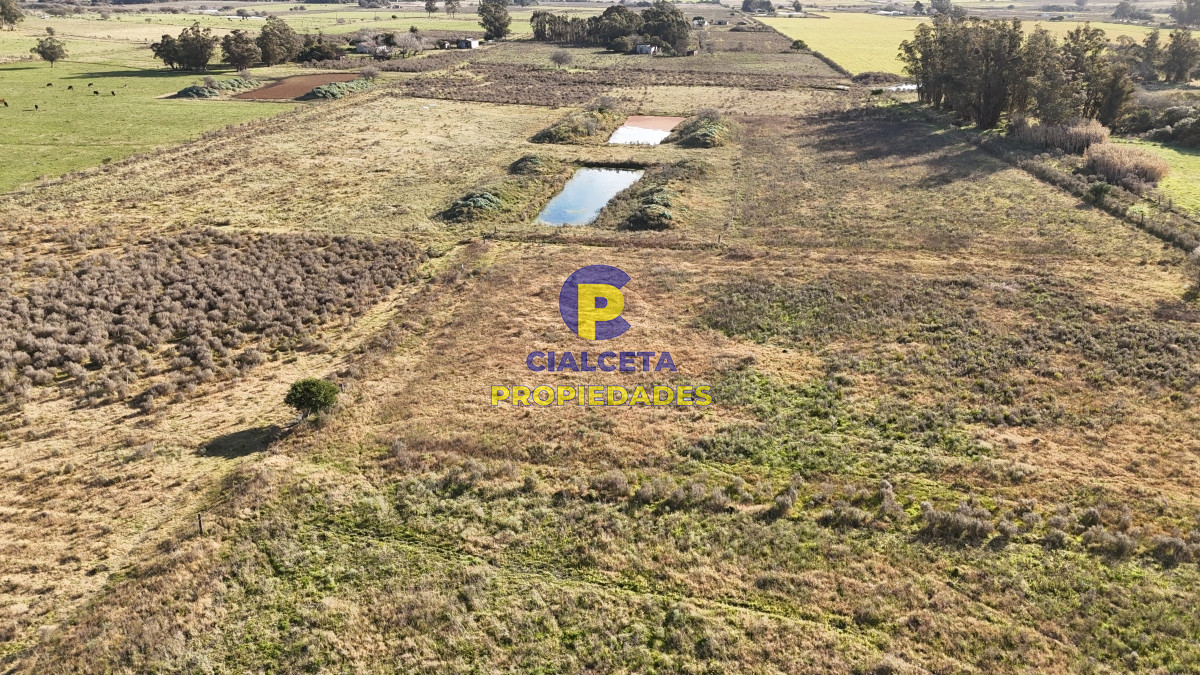 Chacra ID.486 - 10 hectáreas y media con casa y dos represas
