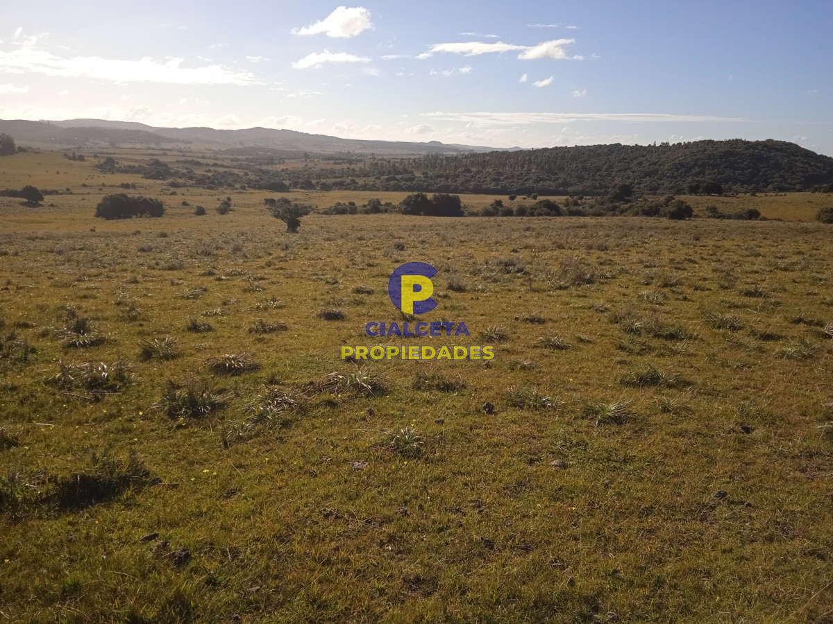 Chacra ID.44 - 5 hectáreas en ruta 39