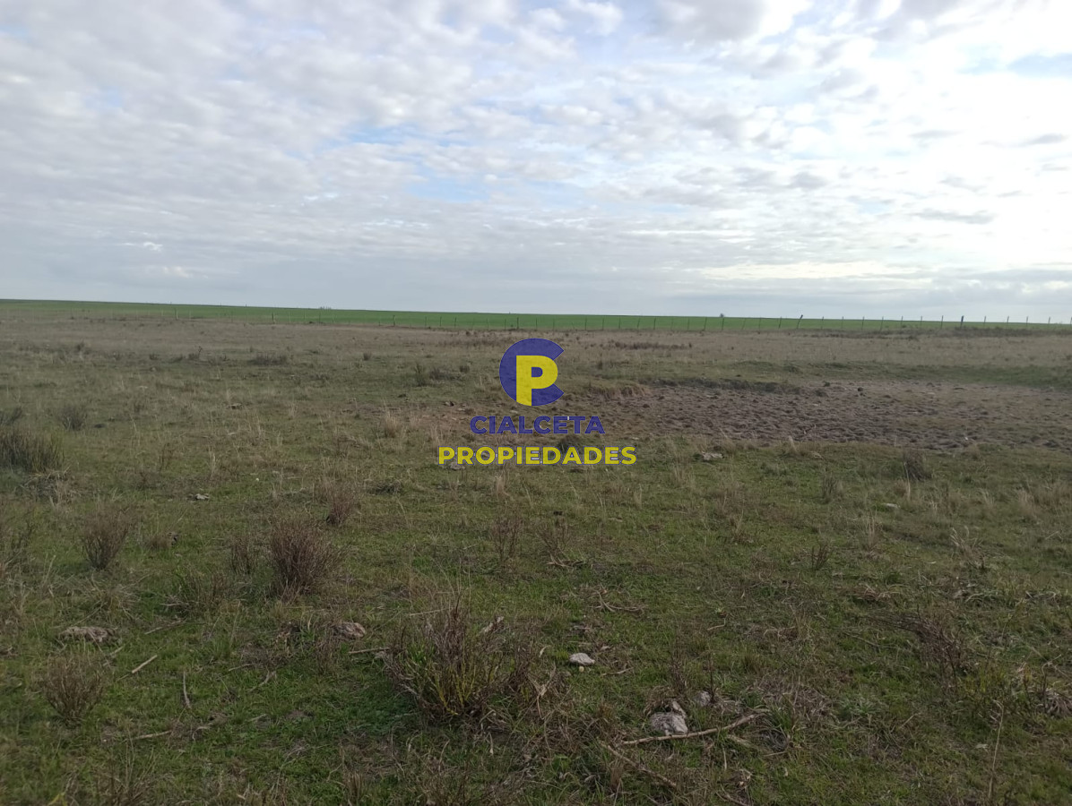 Chacra ID.233 - 5 hectáreas sobre camino, oportunidad !!!