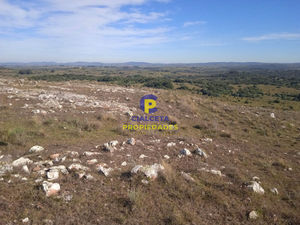 Chacra ID.380 - 5 hectáreas, entrega y saldo en 60 cuotas