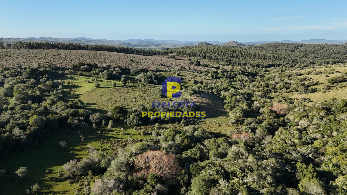 Chacra ID.455 - 5 hectáreas en Zanja del Tigre