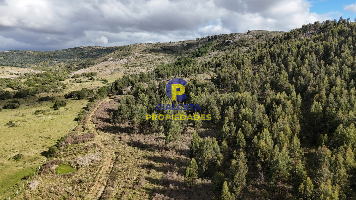 Chacra ID.458 - 5 hectáreas con entrega de 8 mil dólares se financia