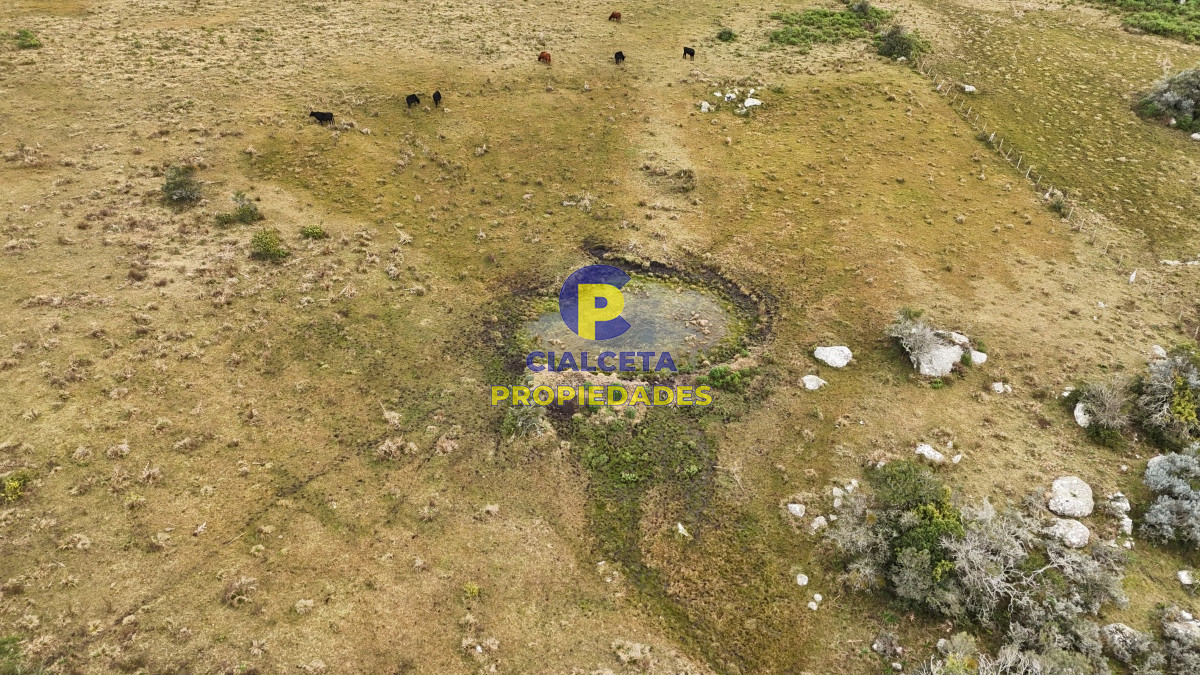 Chacra ID.479 - 14 hectáreas y media con población y arroyito en el fondo