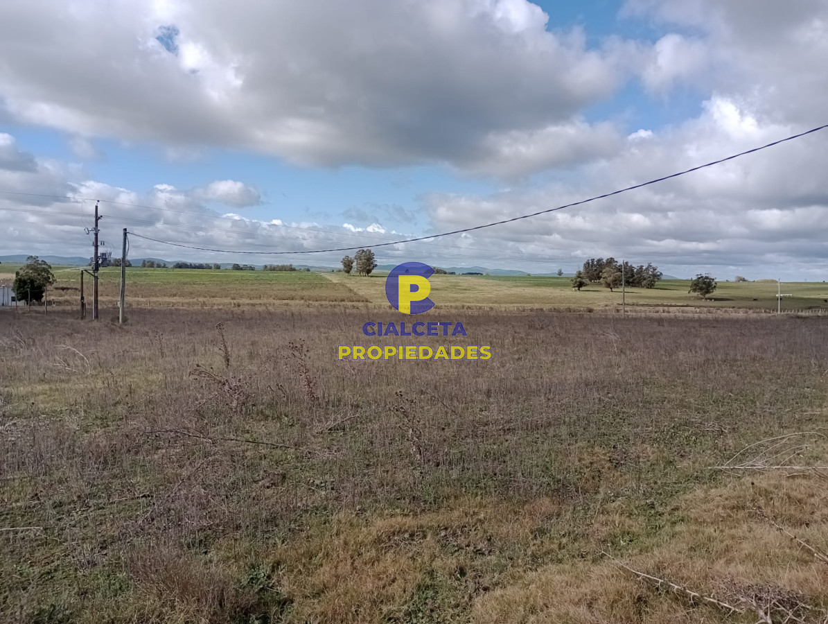 Chacra ID.259 - 3 hectáreas en Canelones