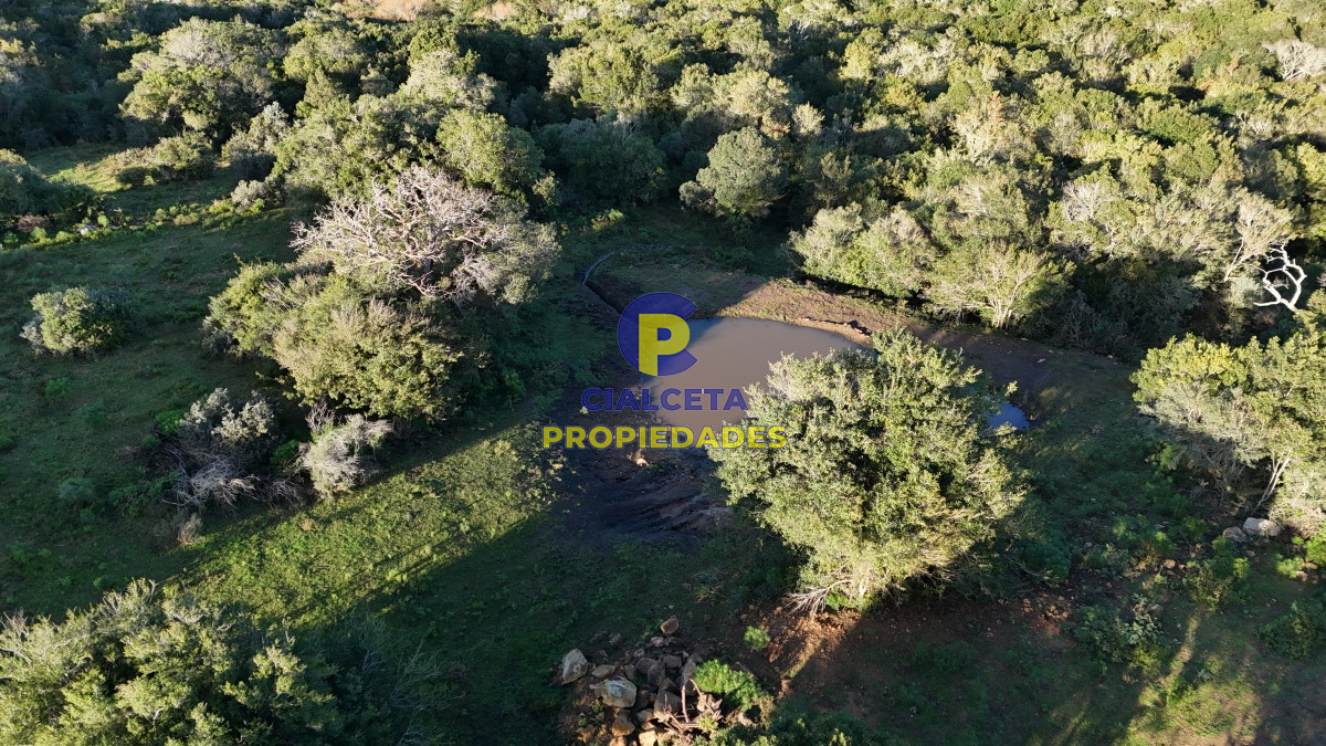 Chacra ID.456 - 4  hectáreas con monte nativo en Maldonado