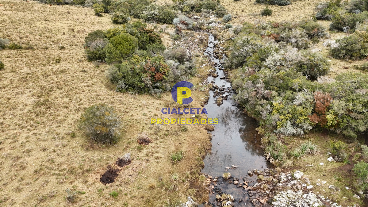 Chacra ID.479 - 14 hectáreas y media con población y arroyito en el fondo
