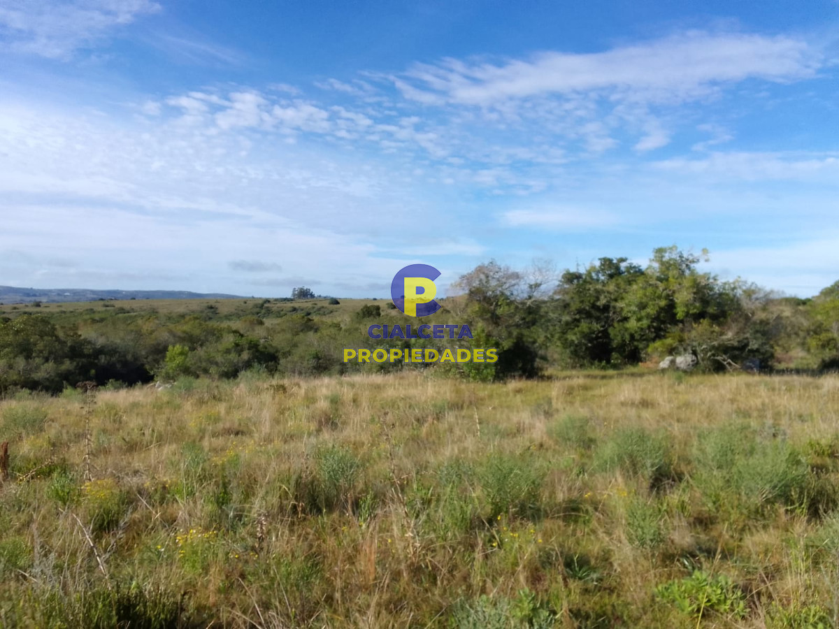 Chacra ID.227 - 5 hectáreas con excelente vista