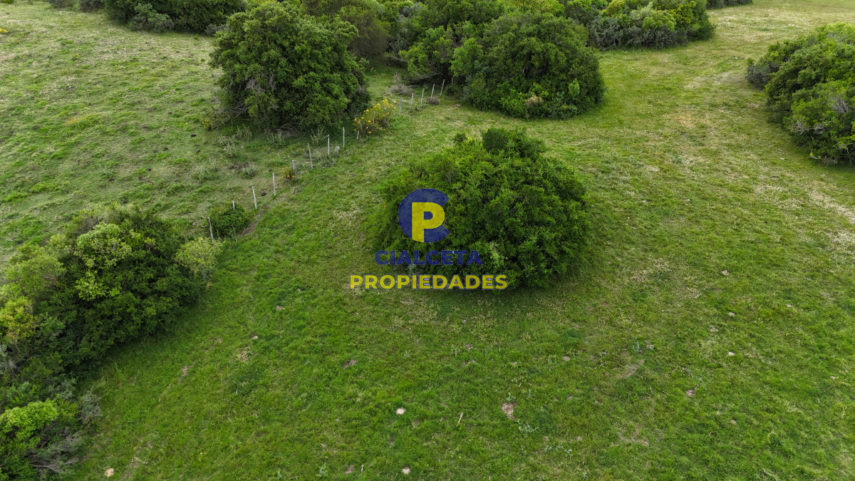 Chacra ID.558 - 3 hectáreas en Paso de La Cantera