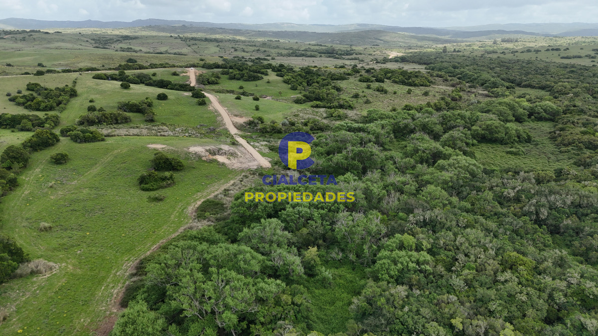 Chacra ID.560 - 4 hectáreas con 6.600 metros con monte y arroyo