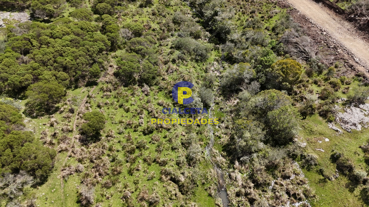 Chacra ID.535 - 3 hectáreas a 25 km de San Carlos, se financian