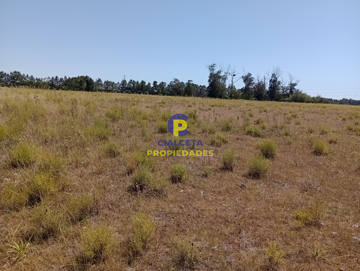 Chacra ID.117 - 5 hectáreas en ruta 104
