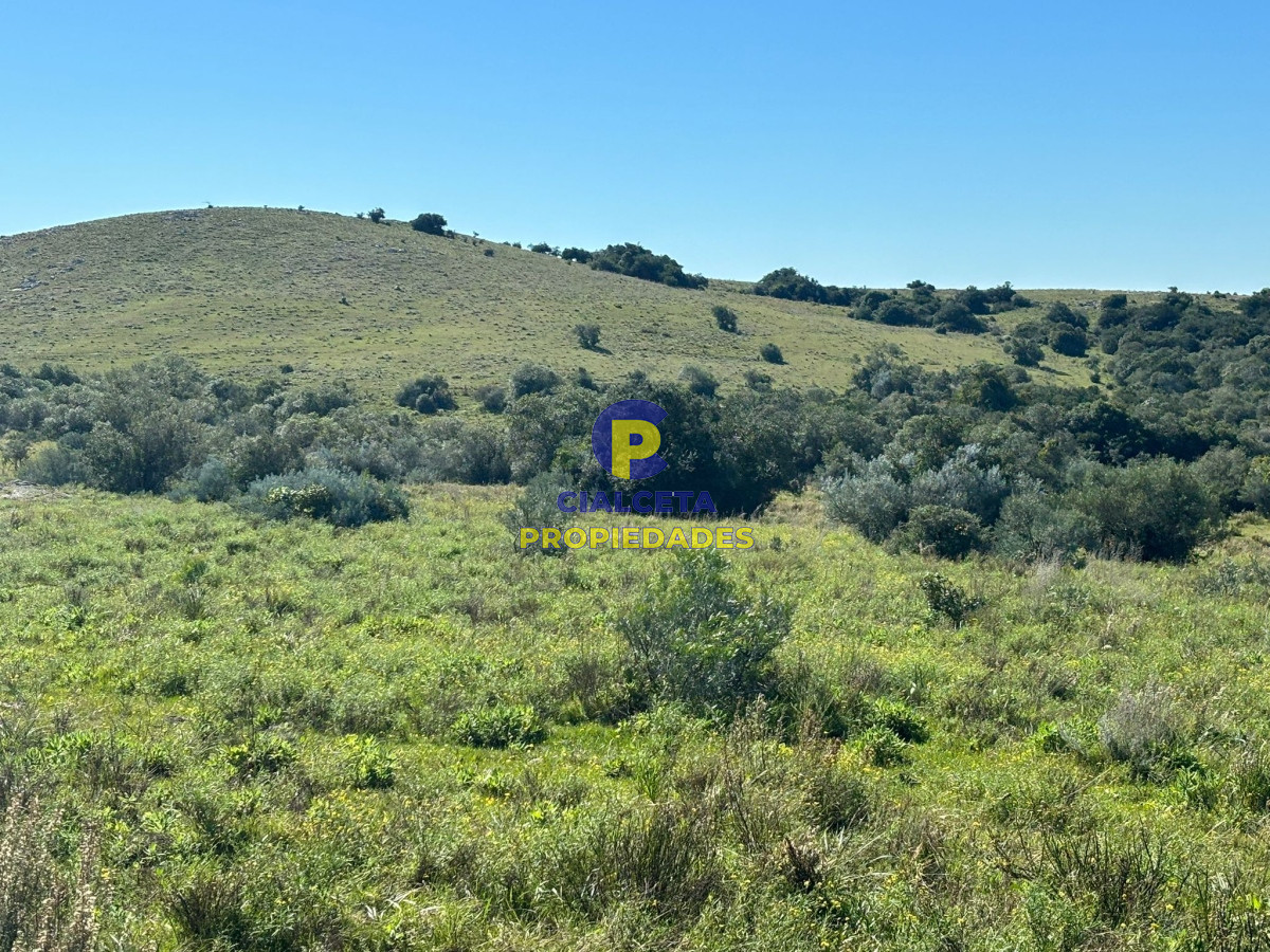 Chacra ID.423 - 5 hectáreas para 38.000 dólares, se financia