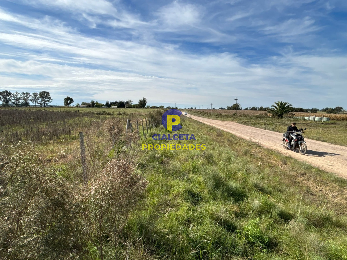 Chacra ID.432 - 3 hectáreas en Canelones, entrega 20 mil y saldo a dos años