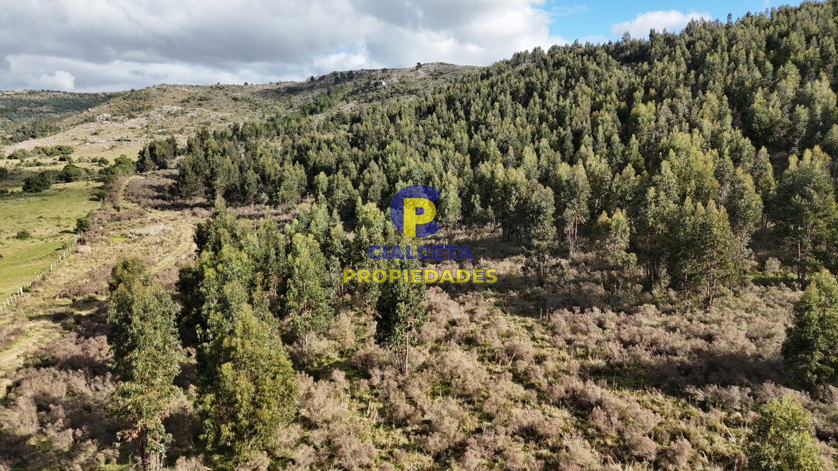 Chacra ID.458 - 5 hectáreas con entrega de 8 mil dólares se financia