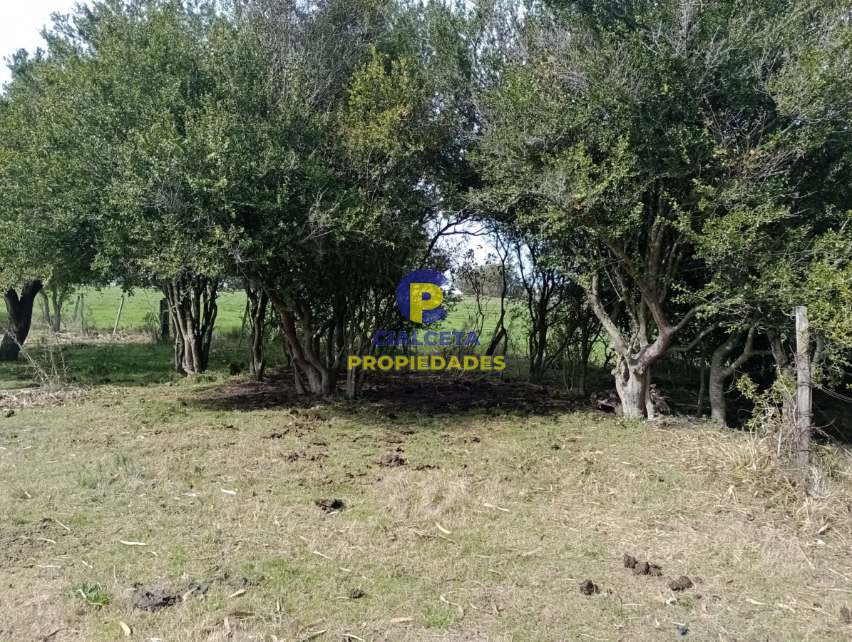 Chacra ID.296 - 9 hectáreas en lavalleja