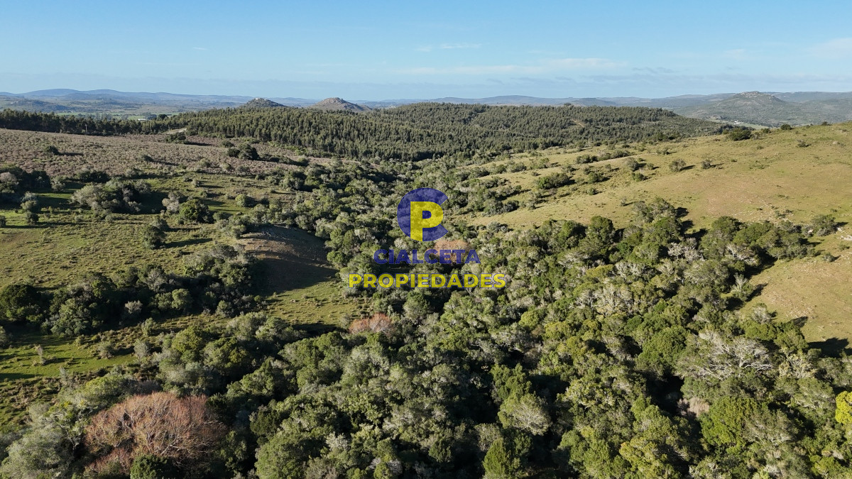 Chacra ID.455 - 5 hectáreas en Zanja del Tigre