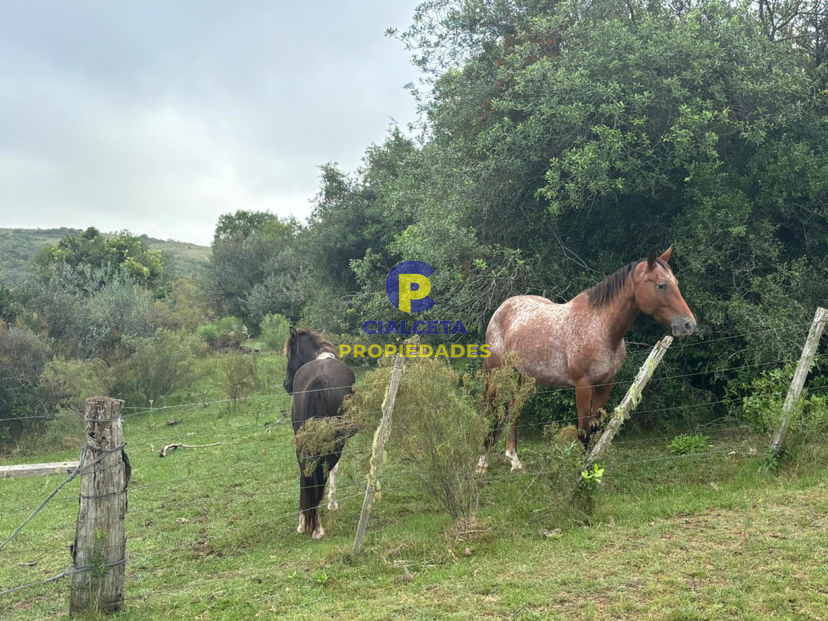 Chacra ID.407 - 3 hectáreas en Las Cañas