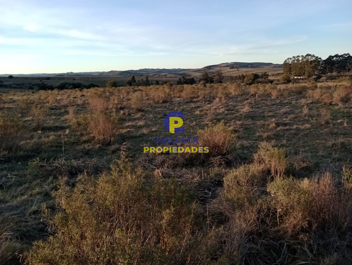 Chacra ID.299 - 6 hectáreas en Pueblo Edén