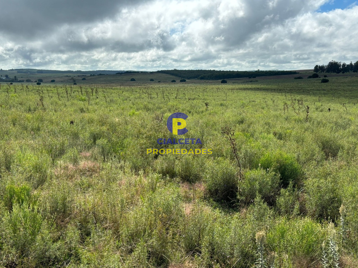 Chacra ID.410 - 10 hectáreas en Pan de Azúcar