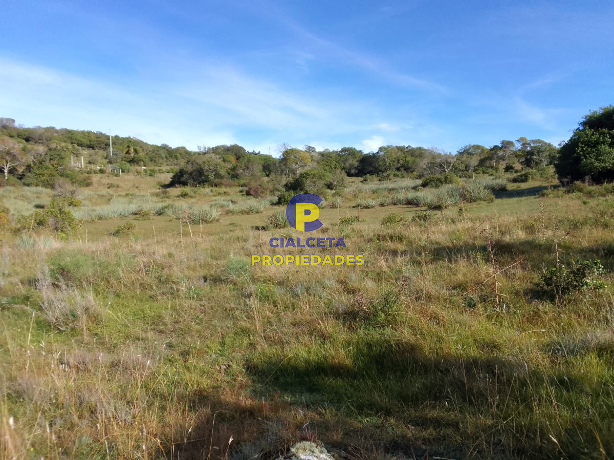 Las Cañas - GoPunta - Portal Inmobiliario de Punta del Este - Maldonado