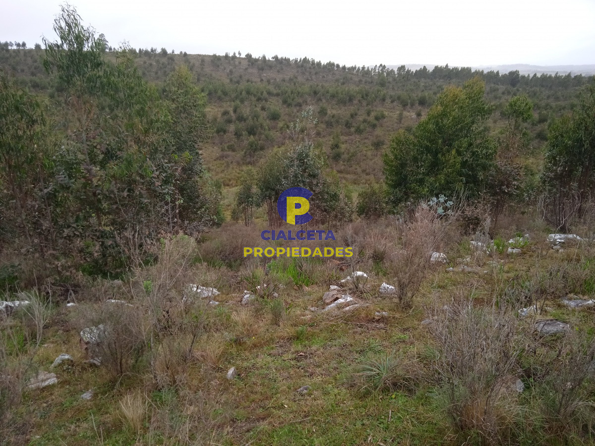 Chacra ID.47 - 5 hectáreas, entregando 7.000 U$S se financian