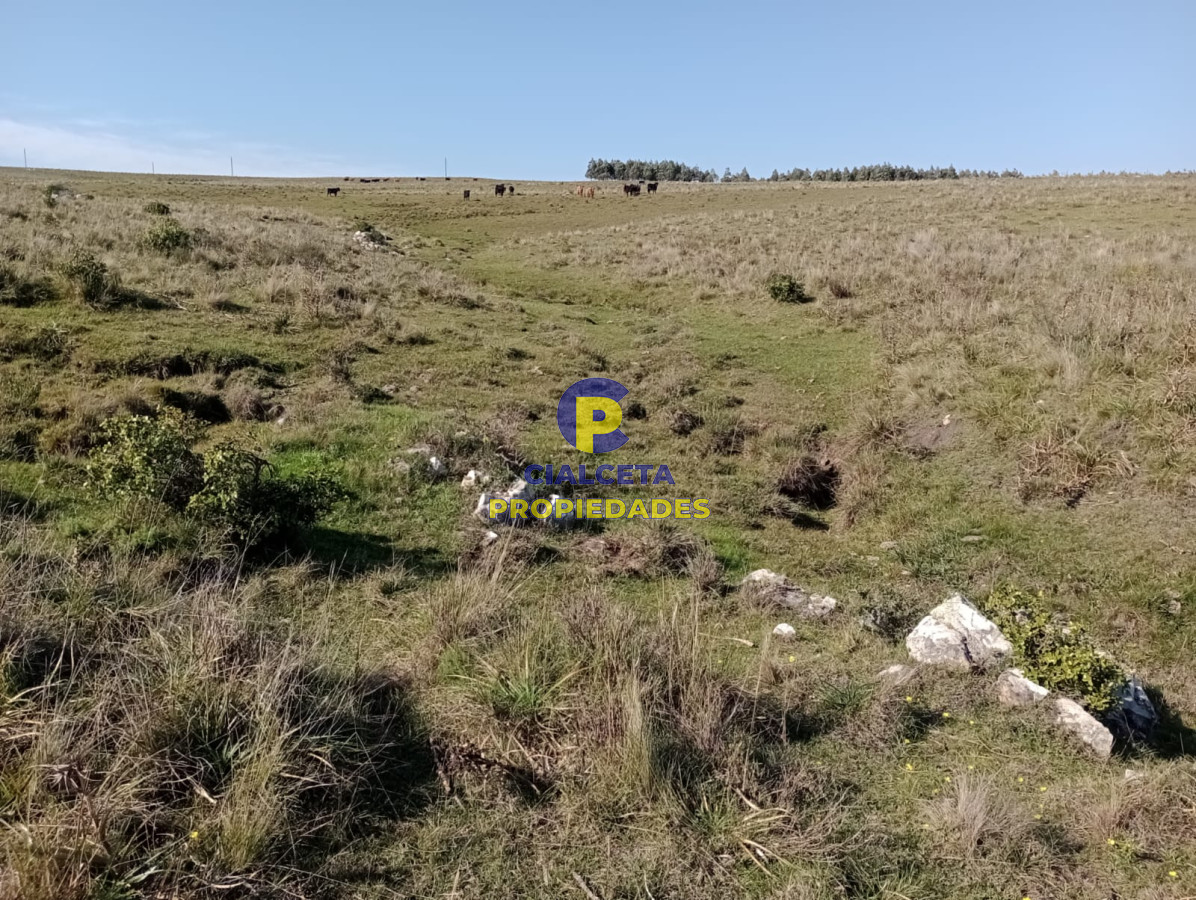 Chacra ID.445 - 14 hectáreas con 7.500 metros en Maldonado