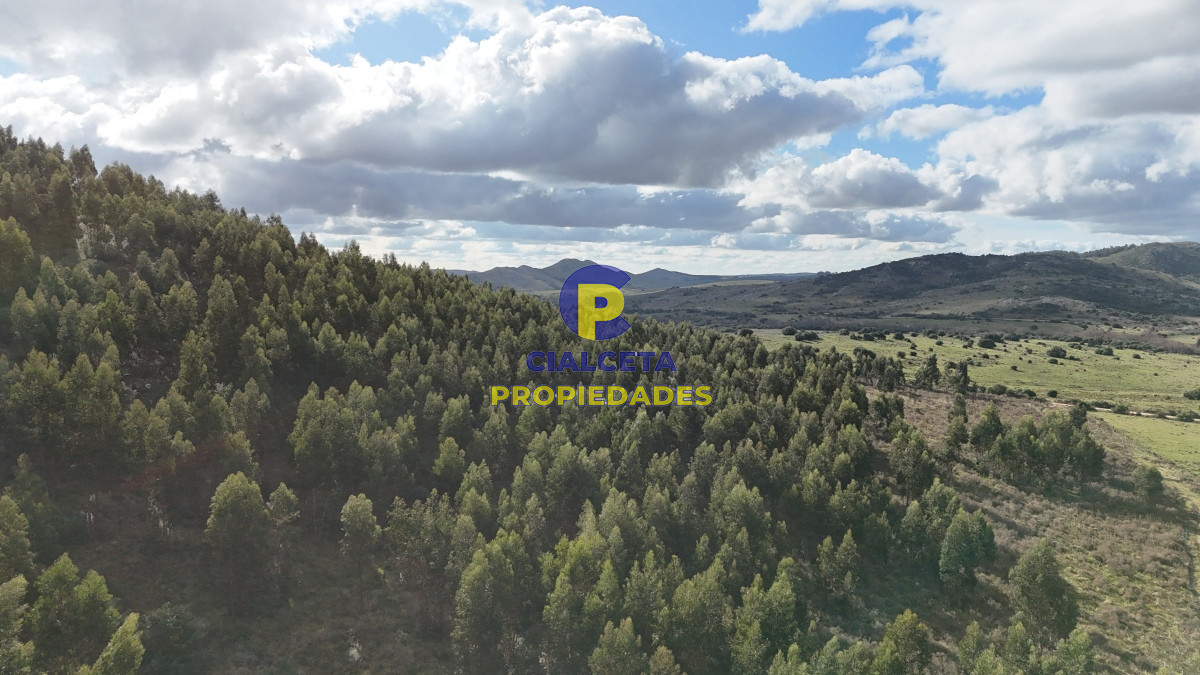 Chacra ID.458 - 5 hectáreas con entrega de 8 mil dólares se financia