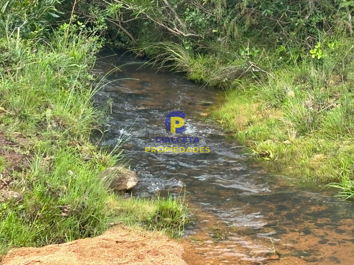 Chacra ID.407 - 3 hectáreas en Las Cañas