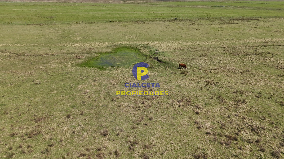 Chacra ID.531 - 5 hectáreas en Lavalleja con tajamar